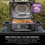 Ninja Woodfire Electric BBQ Grill & Smoker (Black) - Image 8