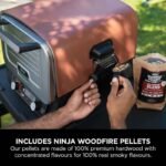 Ninja Woodfire Electric Outdoor Oven, Artisan Pizza Maker and BBQ Smoker (Terracotta/Steel) - Image 9